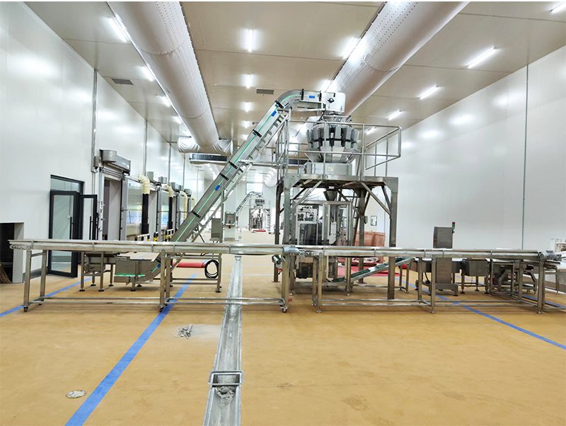 ເຄື່ອງຫຸ້ມຫໍ່ອັດຕະໂນມັດອາຫານ forzen