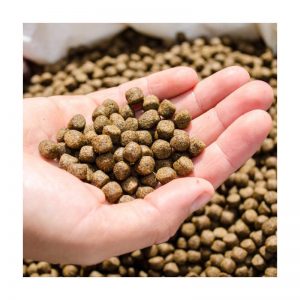 ເຄື່ອງຫຸ້ມຫໍ່ອາຫານແນວຕັ້ງ