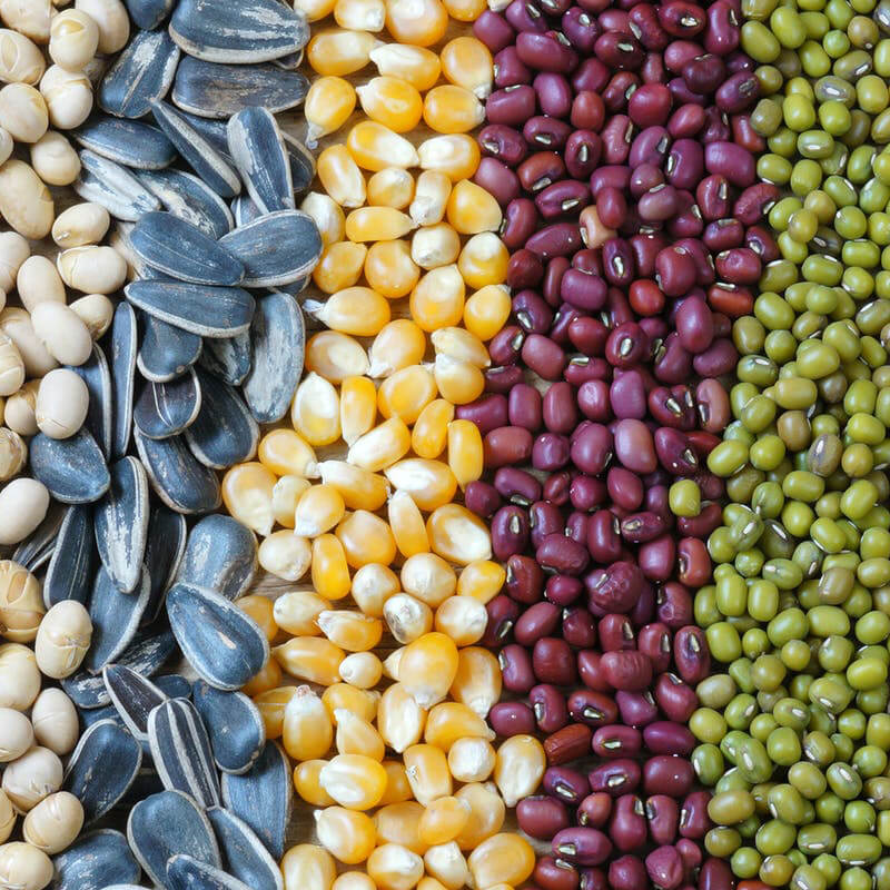 ເຄື່ອງຫຸ້ມຫໍ່ເມັດພືດອັດຕະໂນມັດ